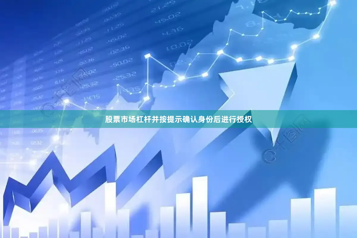 股票市场杠杆并按提示确认身份后进行授权
