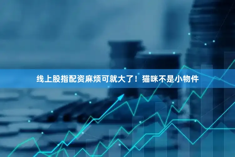 线上股指配资麻烦可就大了！猫咪不是小物件