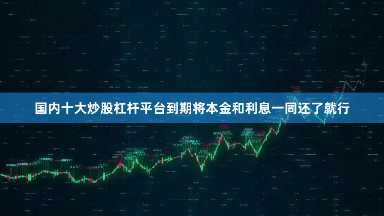 国内十大炒股杠杆平台到期将本金和利息一同还了就行