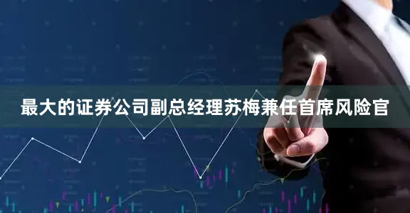 最大的证券公司副总经理苏梅兼任首席风险官