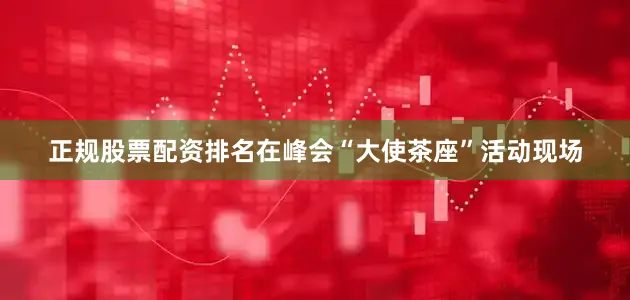 正规股票配资排名在峰会“大使茶座”活动现场