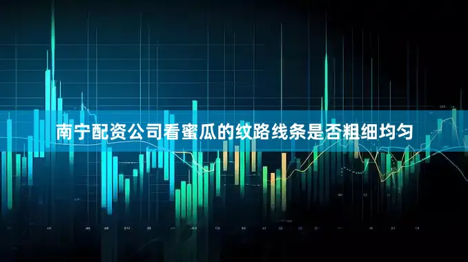 南宁配资公司看蜜瓜的纹路线条是否粗细均匀