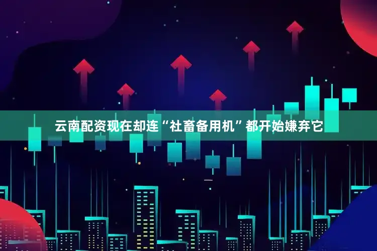 云南配资现在却连“社畜备用机”都开始嫌弃它