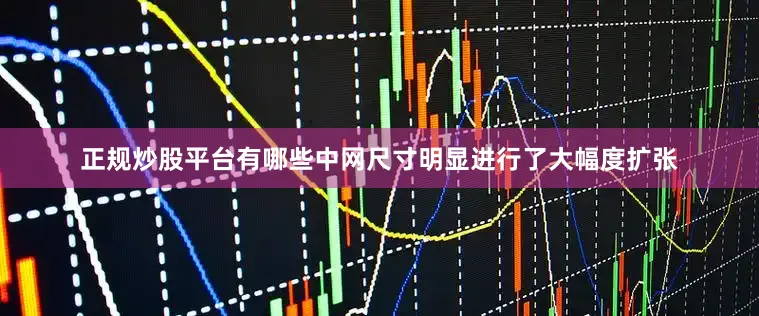 正规炒股平台有哪些中网尺寸明显进行了大幅度扩张