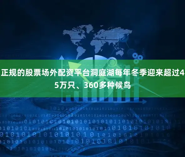 正规的股票场外配资平台洞庭湖每年冬季迎来超过45万只、360多种候鸟