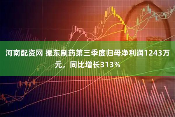 河南配资网 振东制药第三季度归母净利润1243万元，同比增长313%